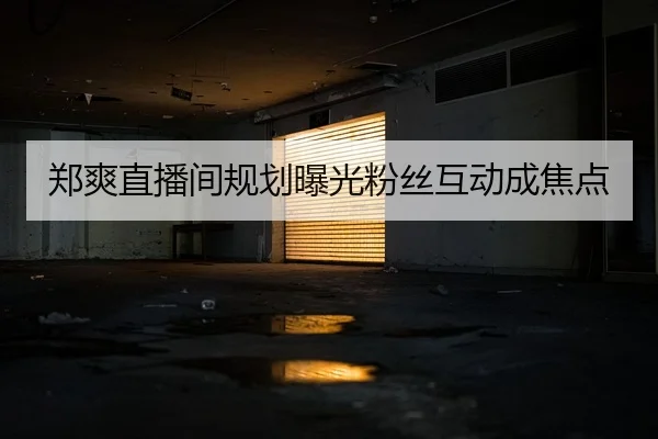 郑爽直播间规划曝光粉丝互动成焦点